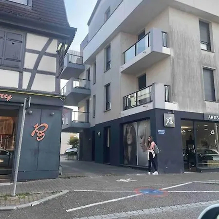 Evasion Douillette, Charmant 2 Pieces 20 Minutes De Strasbourg Erstein Exterior photo